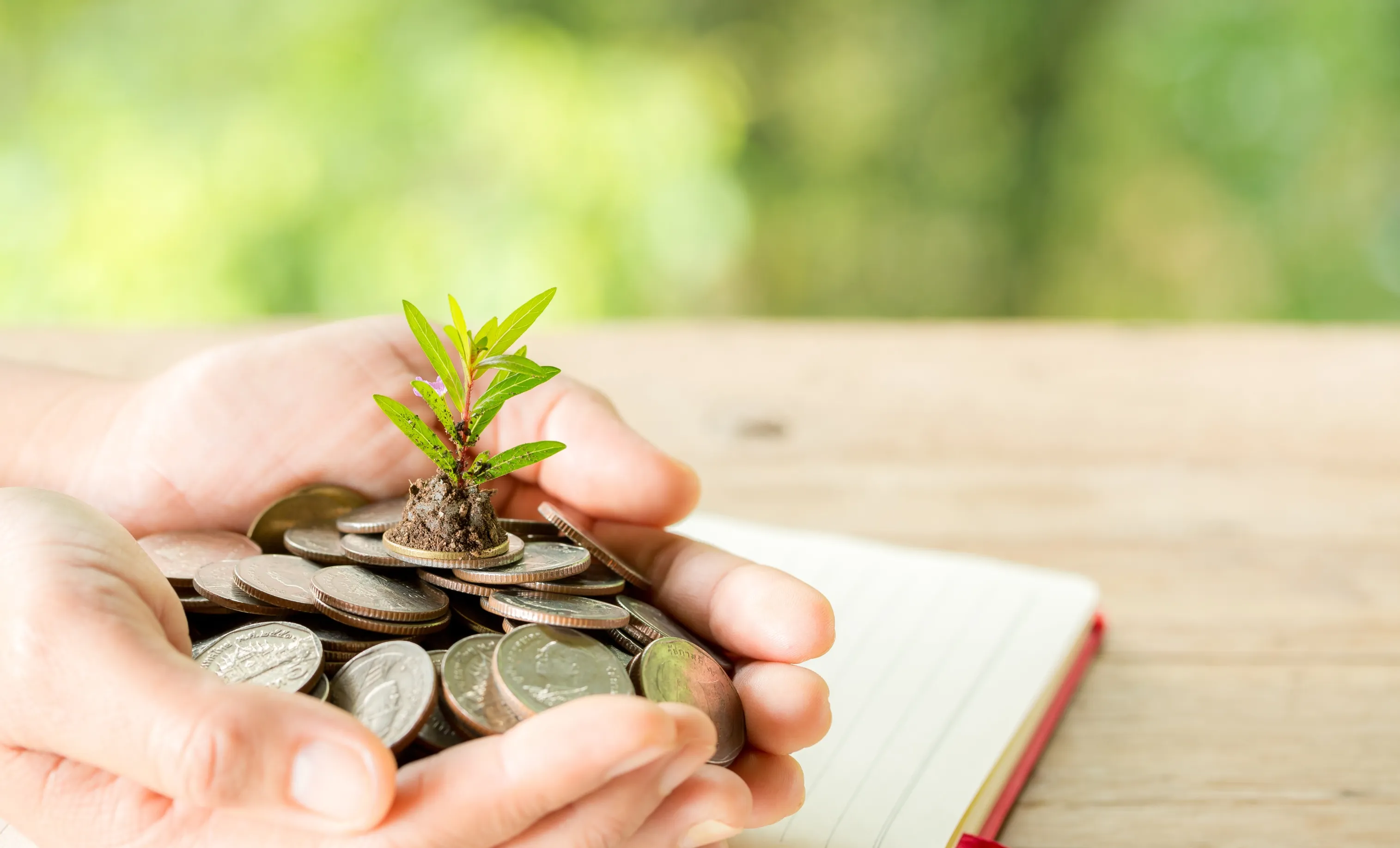 Equity Mutual Funds In Chromepet